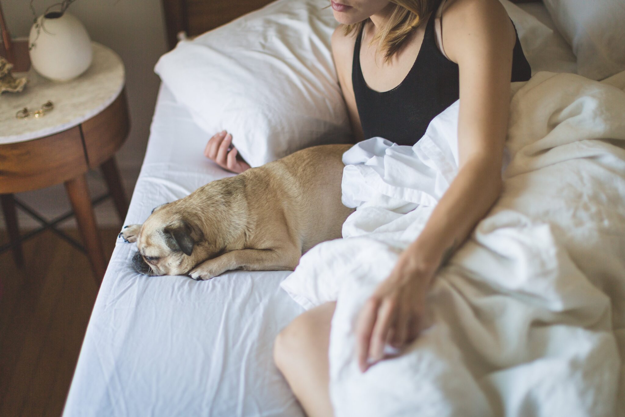 Pros and Cons of Allowing Your Dog Sleep in Your Bed